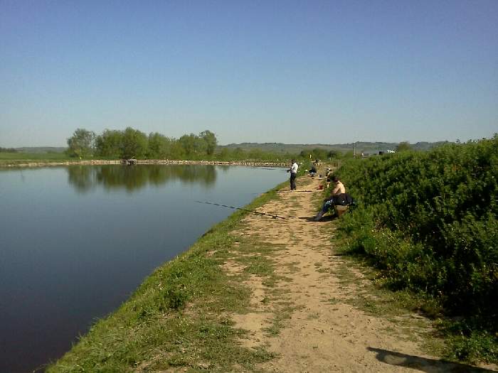 Balta Zorlențu Mare, Caraș-Severin county – photo 1