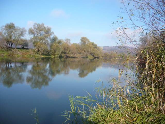 Lacul Avrig (Sibiu)