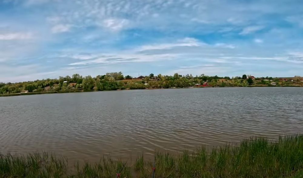 Balta Costești