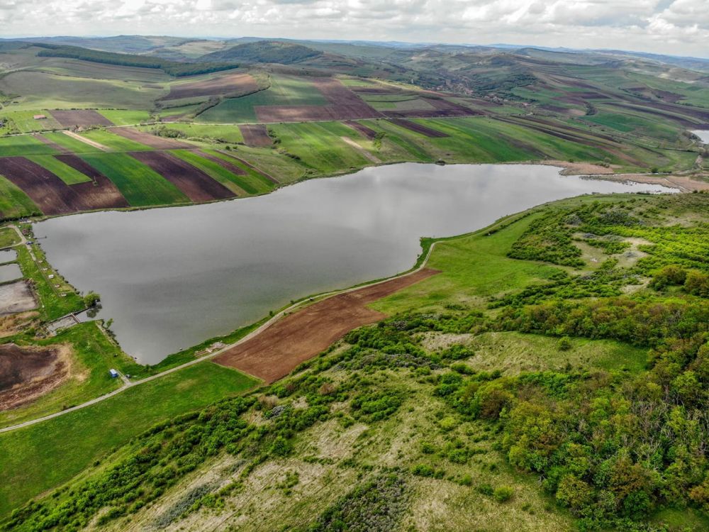 Carpodrom Transilvania