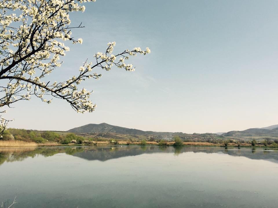 Pescăria West Paradis (Balta Pescari)