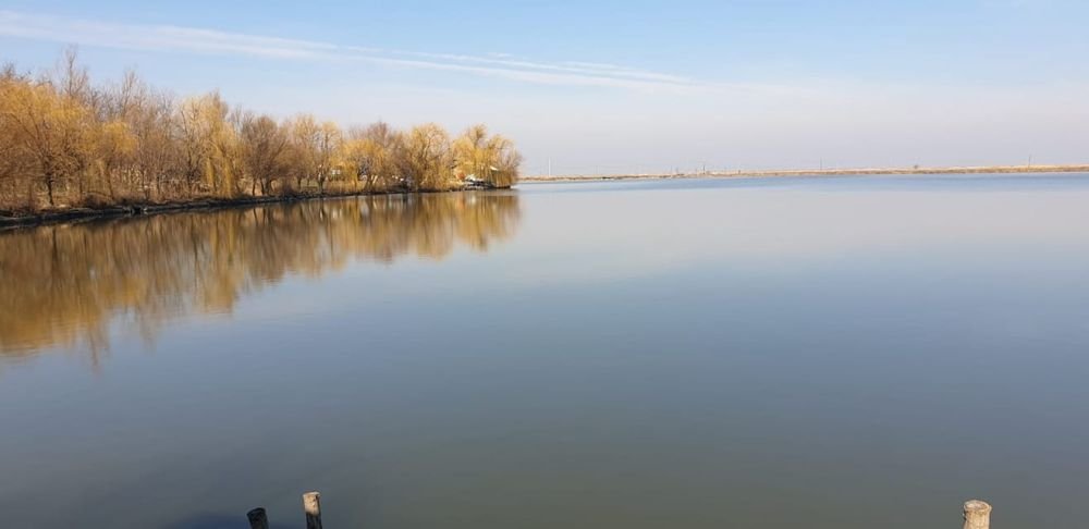 Balta Însurăței, provincia de Brăila – foto 1