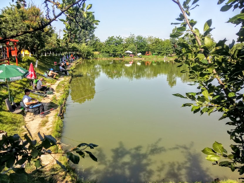 Balta Icloda