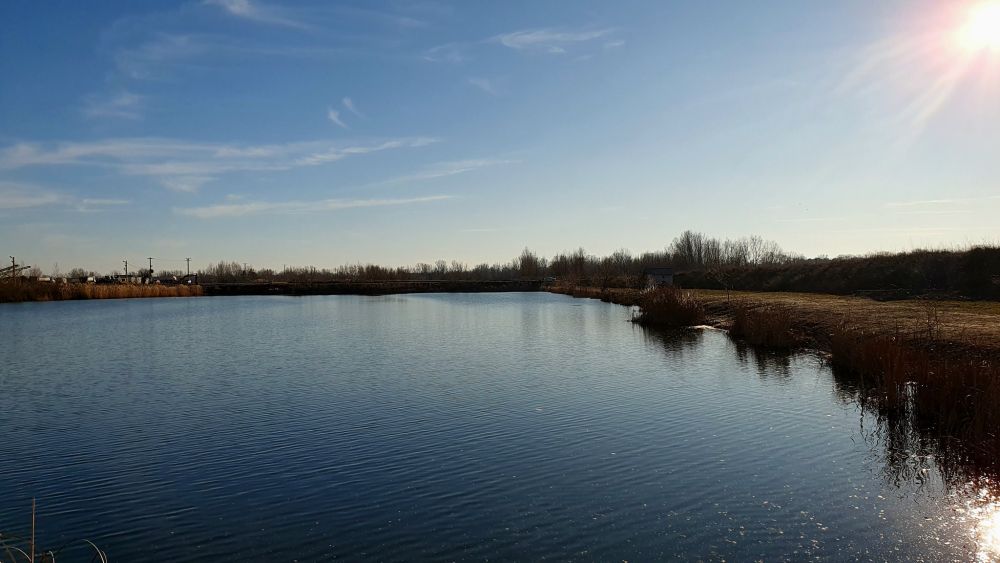 Balta Nouă Căteasca (la Cornel), provincia de Argeș – foto 1