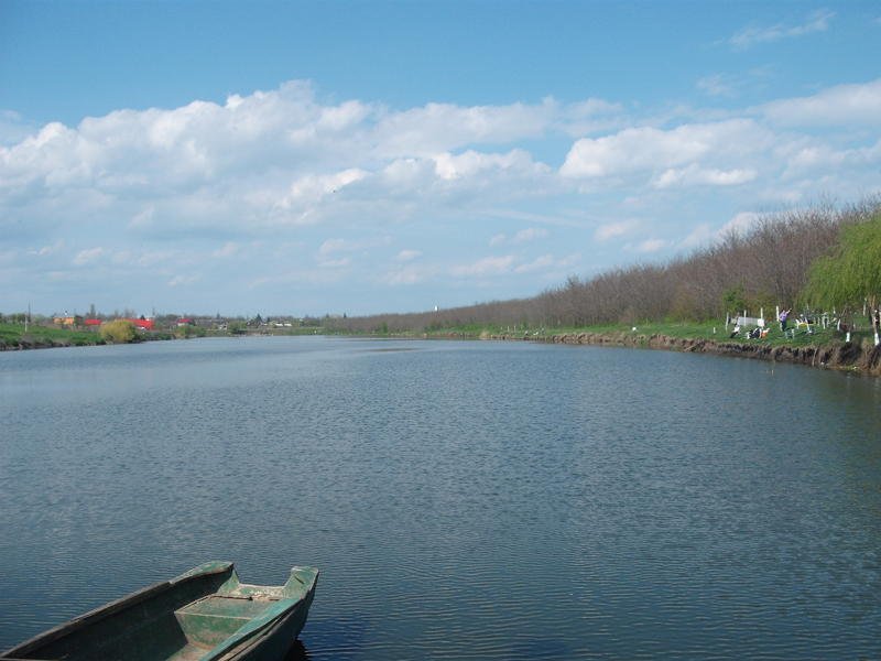 Balta Lehliu Sat 2
