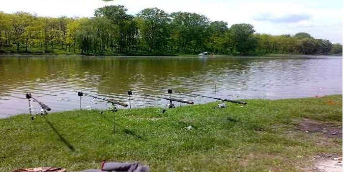 Balta Izvoarele