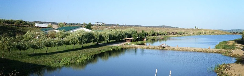 Domeniul Luncani (Lac Luncani)