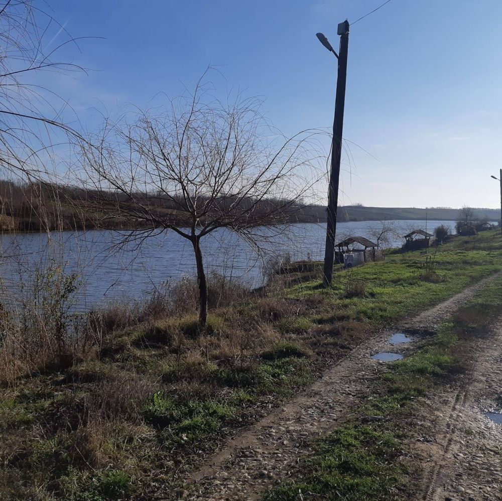Balta Black Lupșanu 2