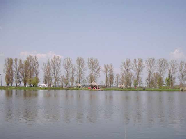 Balta Adea