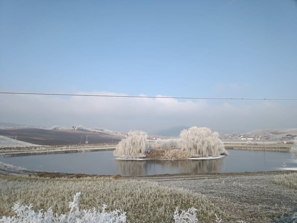 Balta La Ionel