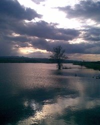 Lacul Pădureni-Ciurila