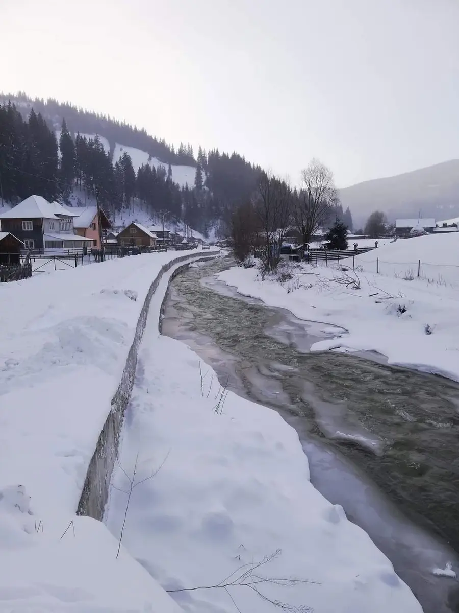 Pârâul Cârlibaba (Valea Cârlibabei)