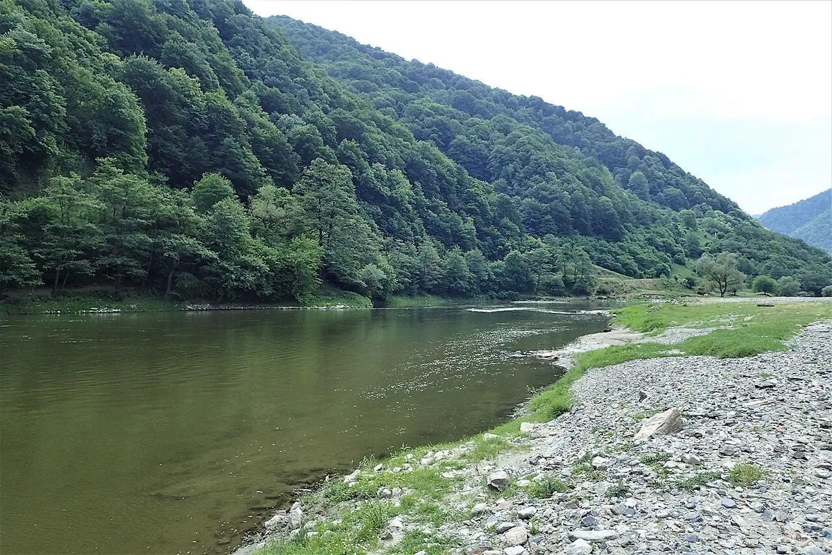 Râul Olt — Avrig
