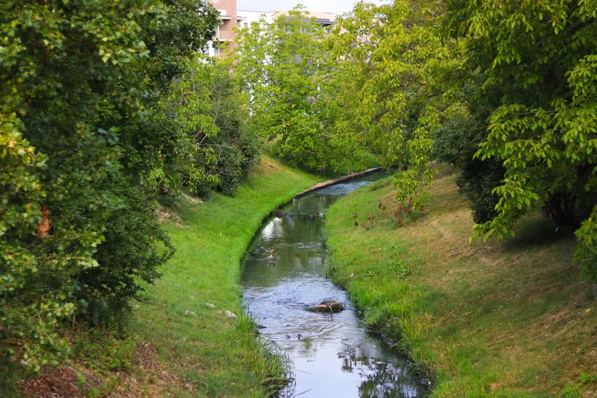 Râul Peța