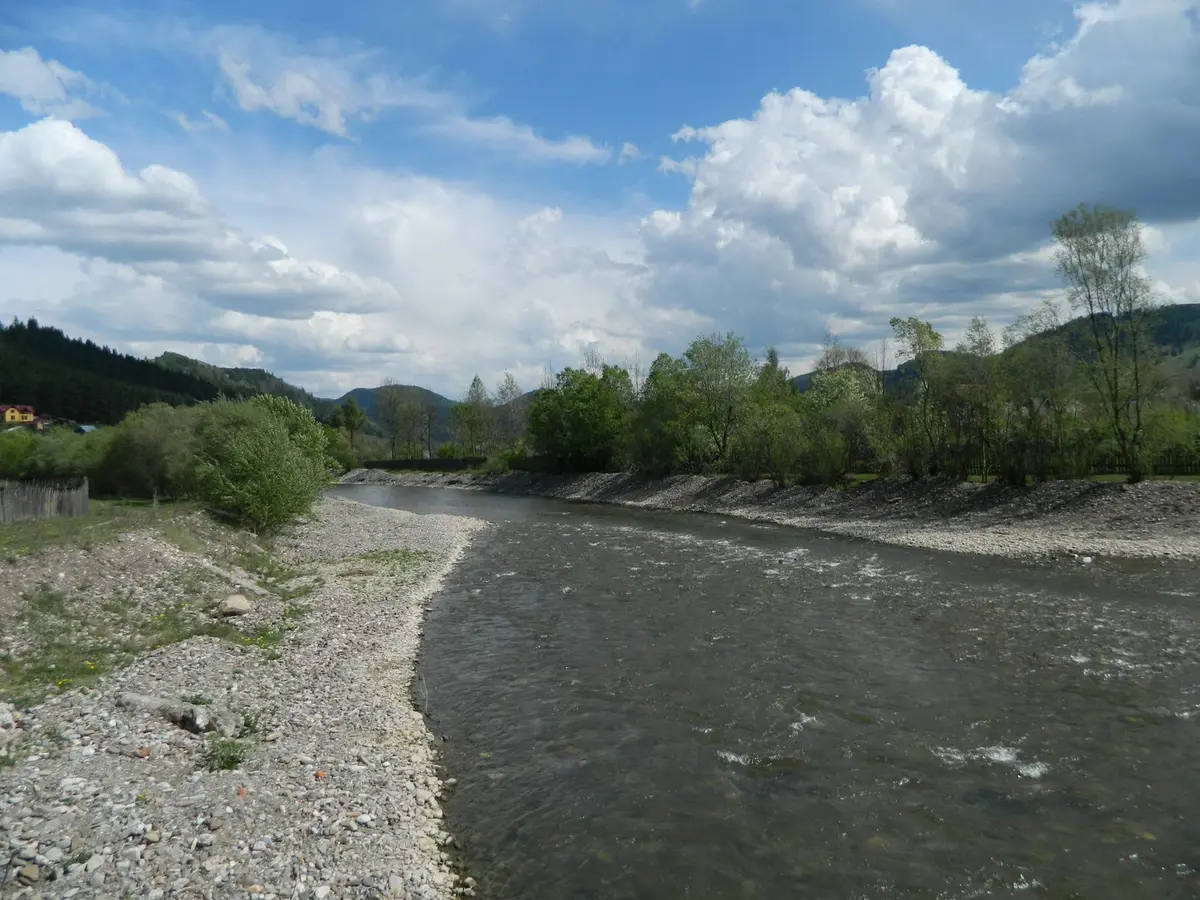 Râul Moldova