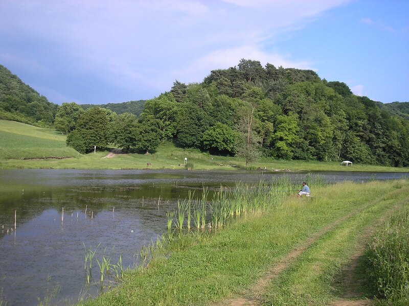 Balta Poligon (Dumbrăveni, Sibiu)