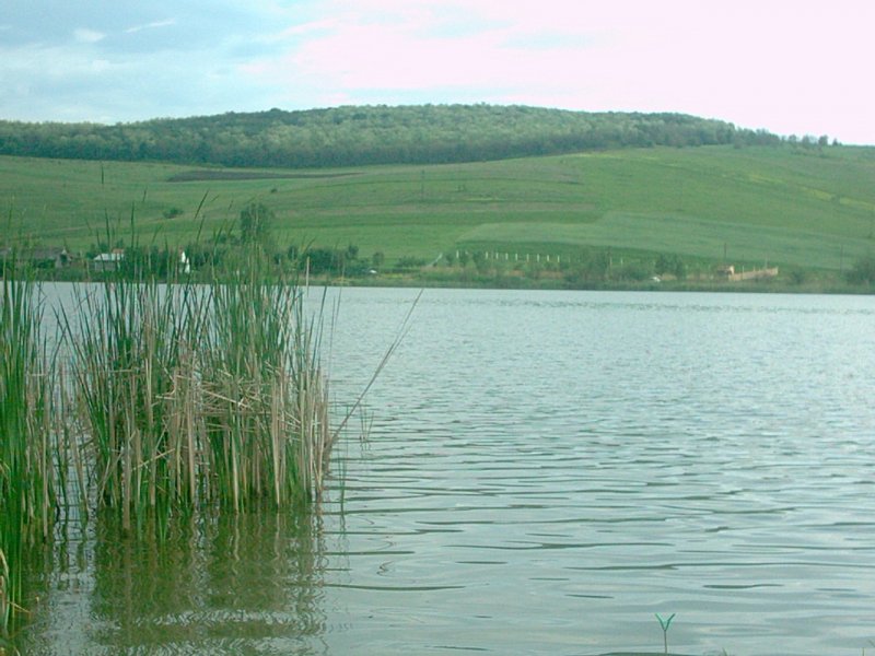 Balta Tăul Popii
