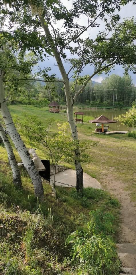 Balta lui Andrei (Pătârlagele), județul Buzău – poza 1