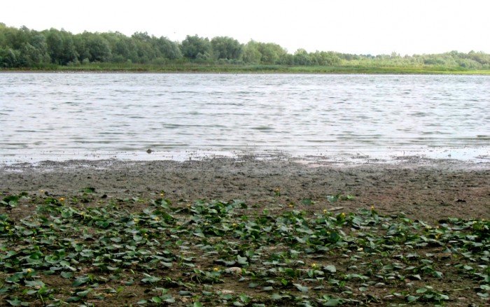 Lacul Vlăscuța