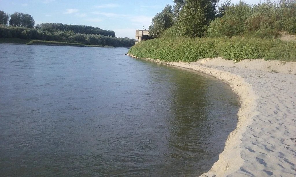 Dunărea (Oltenița)