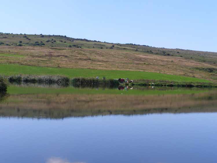 Balta Fărăgău