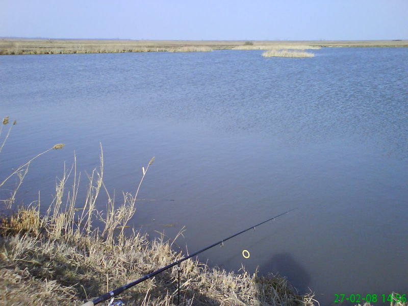 Balta Olari (Arad)