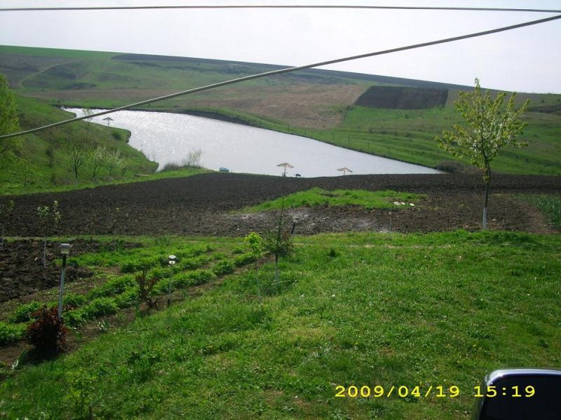Balta Stânca (Perieni)