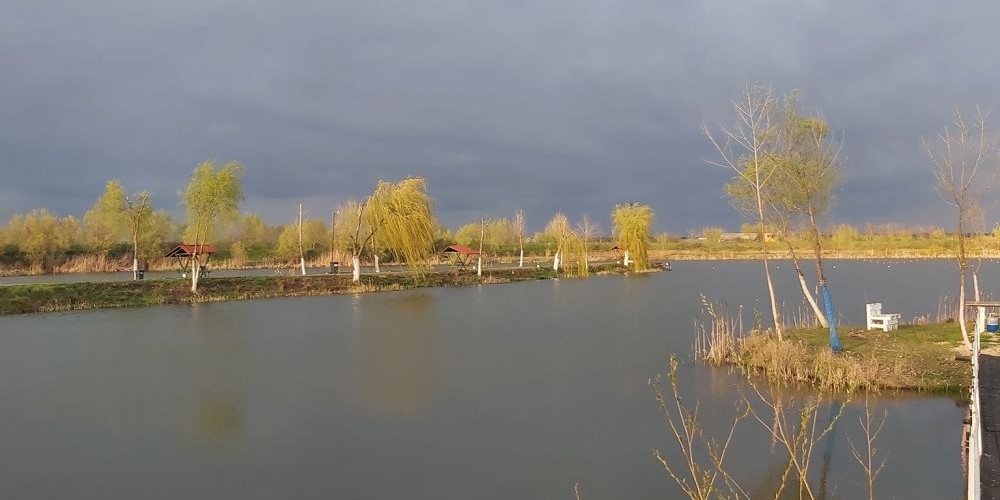 Balta Broșteni - La Busu', provincia de Dâmbovița – foto 1