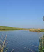 Balta Matara 2